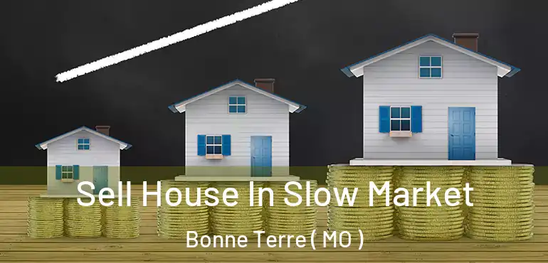  Sell House In Slow Market Bonne Terre ( MO )