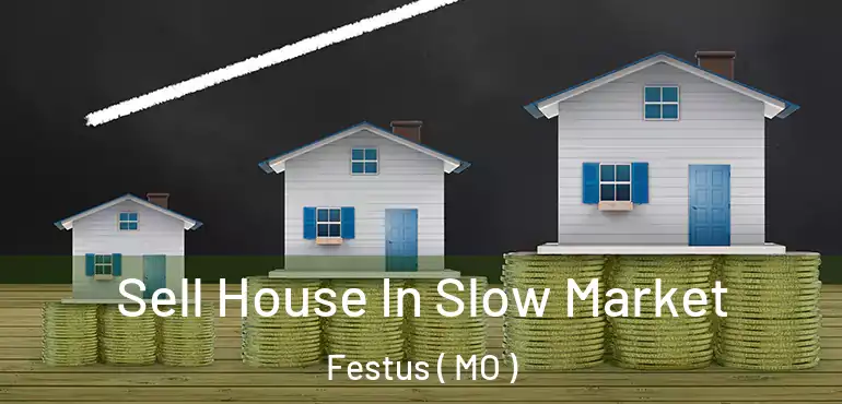  Sell House In Slow Market Festus ( MO )