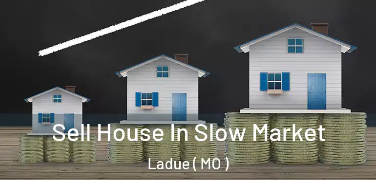  Sell House In Slow Market Ladue ( MO )