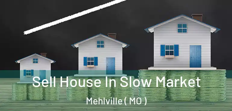  Sell House In Slow Market Mehlville ( MO )