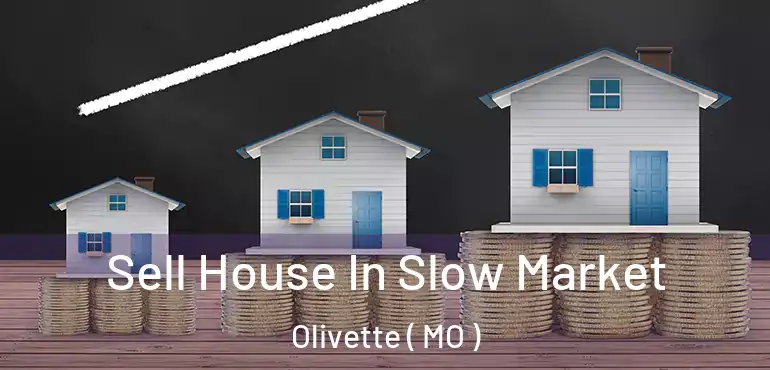  Sell House In Slow Market Olivette ( MO )
