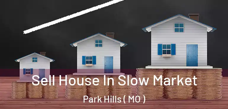  Sell House In Slow Market Park Hills ( MO )
