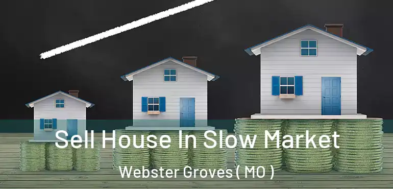  Sell House In Slow Market Webster Groves ( MO )