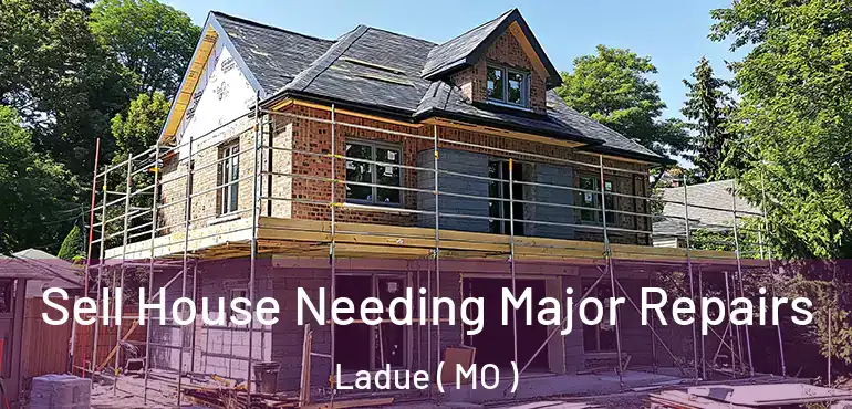  Sell House Needing Major Repairs Ladue ( MO )