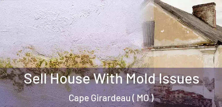  Sell House With Mold Issues Cape Girardeau ( MO )