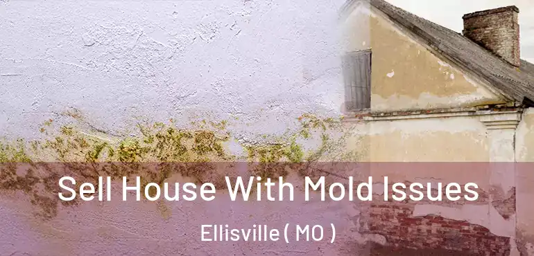  Sell House With Mold Issues Ellisville ( MO )