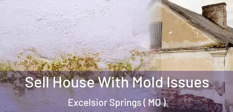  Sell House With Mold Issues Excelsior Springs ( MO )
