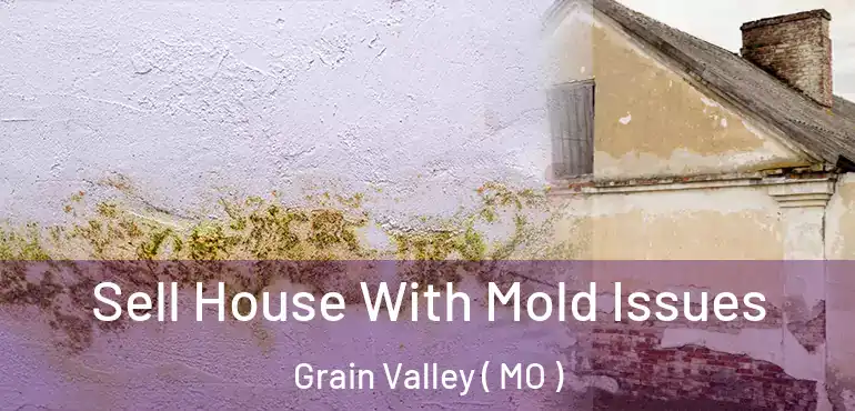  Sell House With Mold Issues Grain Valley ( MO )
