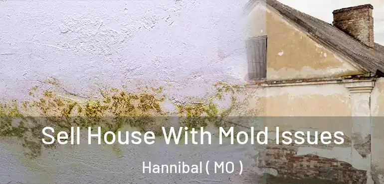  Sell House With Mold Issues Hannibal ( MO )