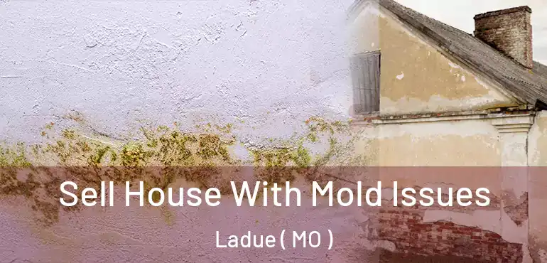  Sell House With Mold Issues Ladue ( MO )