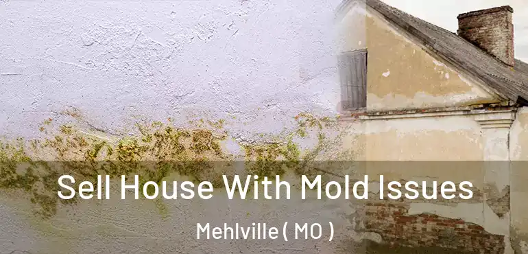  Sell House With Mold Issues Mehlville ( MO )