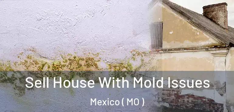  Sell House With Mold Issues Mexico ( MO )
