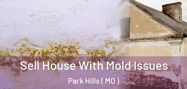  Sell House With Mold Issues Park Hills ( MO )