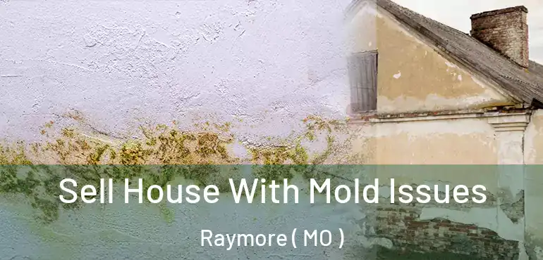  Sell House With Mold Issues Raymore ( MO )