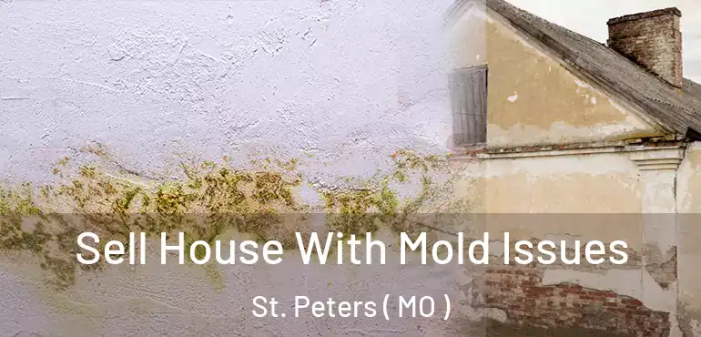  Sell House With Mold Issues St. Peters ( MO )