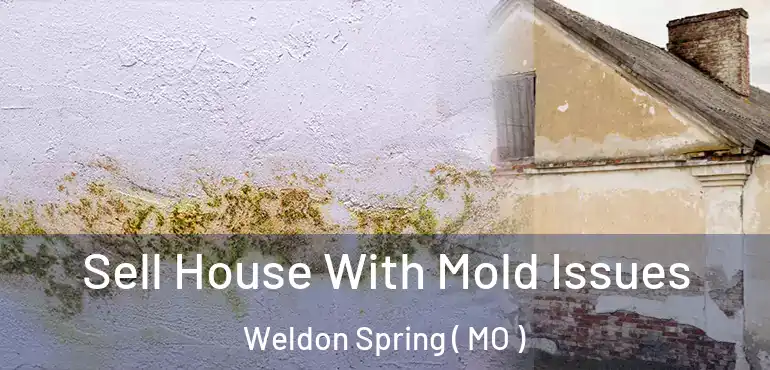  Sell House With Mold Issues Weldon Spring ( MO )