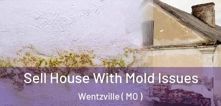  Sell House With Mold Issues Wentzville ( MO )