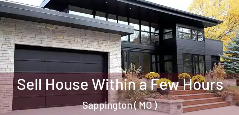  Sell House Within a Few Hours Sappington ( MO )