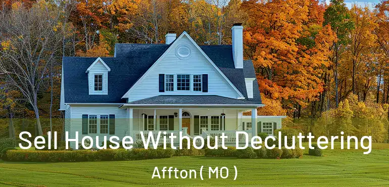  Sell House Without Decluttering Affton ( MO )