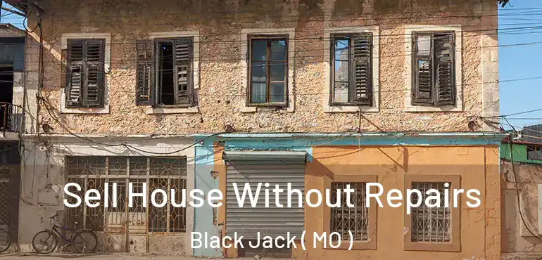  Sell House Without Repairs Black Jack ( MO )
