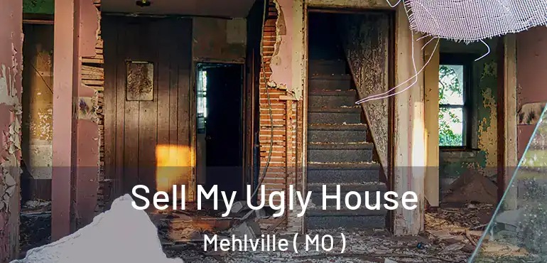 Sell My Ugly House Mehlville ( MO )