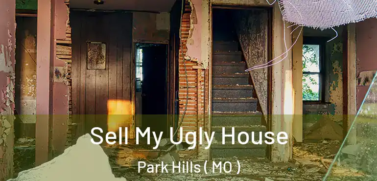  Sell My Ugly House Park Hills ( MO )
