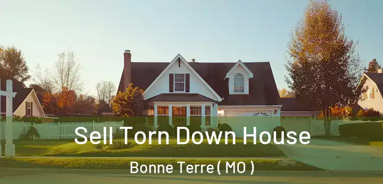  Sell Torn Down House Bonne Terre ( MO )