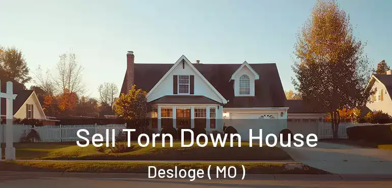  Sell Torn Down House Desloge ( MO )
