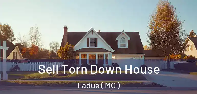  Sell Torn Down House Ladue ( MO )