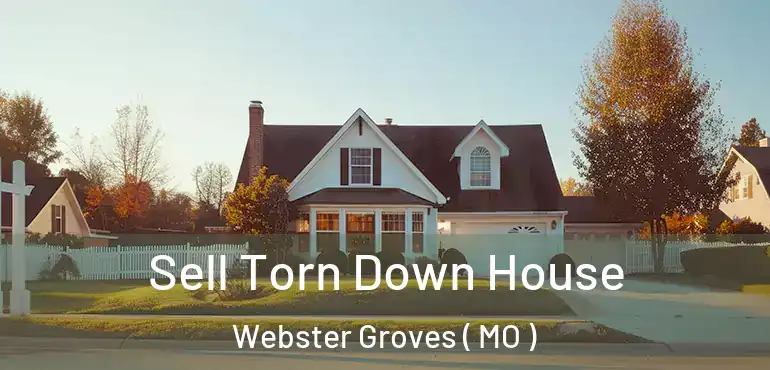  Sell Torn Down House Webster Groves ( MO )